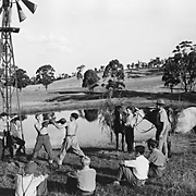 Immigration - Child migration schemes - Big Brother Movement farm near Liverpool, New South Wales