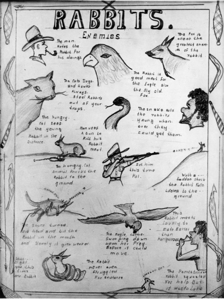 Who Invented Rabbits Invasion Rabbits enemies, 1950 | Find and Connect